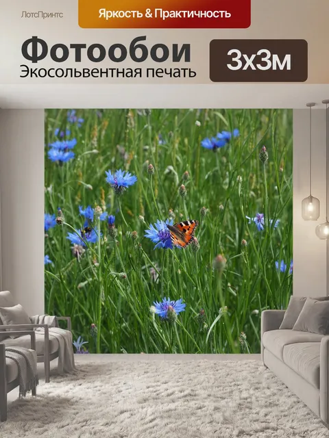 Фотообои Васильки