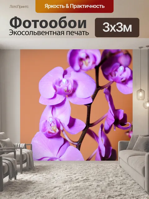 Фотообои Фиолетовый Орхидея