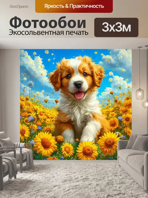 Фотообои щенок кавалер кинг чарльз спаниель, длинная шерсть, яркий окрас
