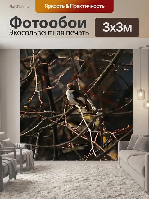 Фотообои Весна