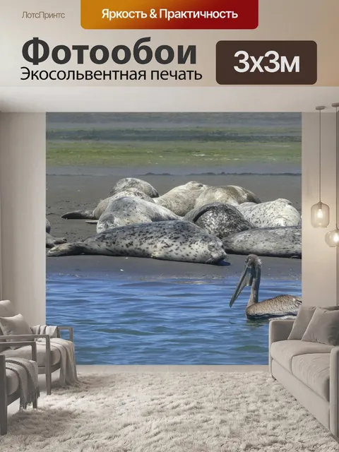 Фотообои Пеликан и тюленей