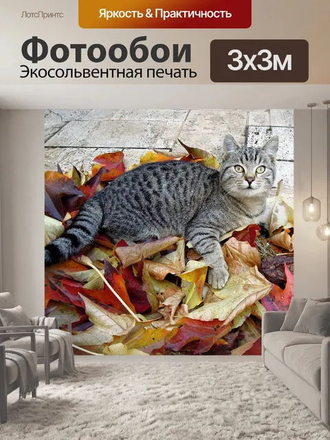 Фотообои Кошка