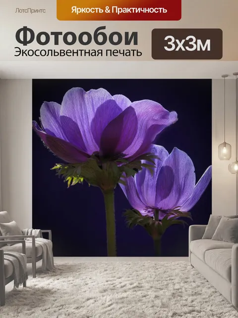 Фотообои Анемон