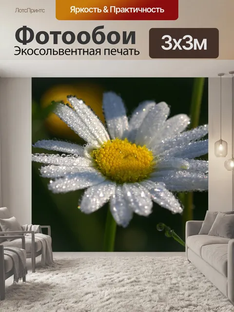 Фотообои Ромашки