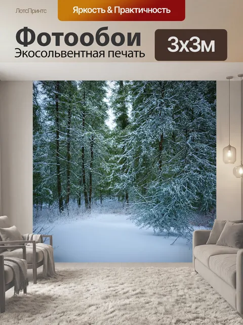 Фотообои зимний лес с мягким снежным покровом, замороженные деревья, игра света и теней, спокойствие