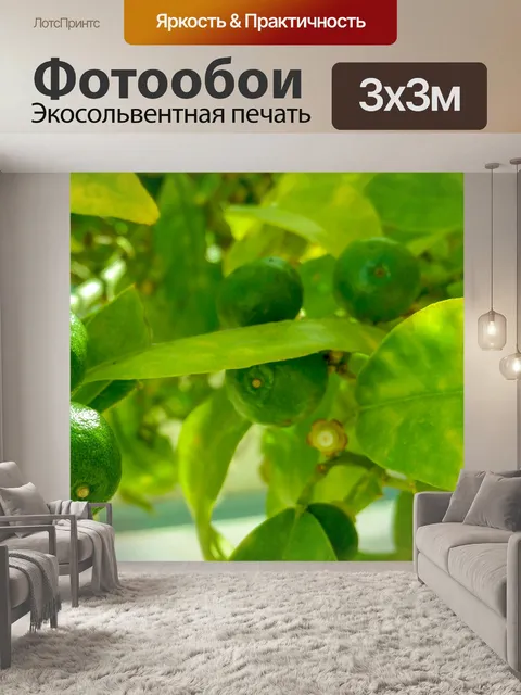 Фотообои выращивание извести