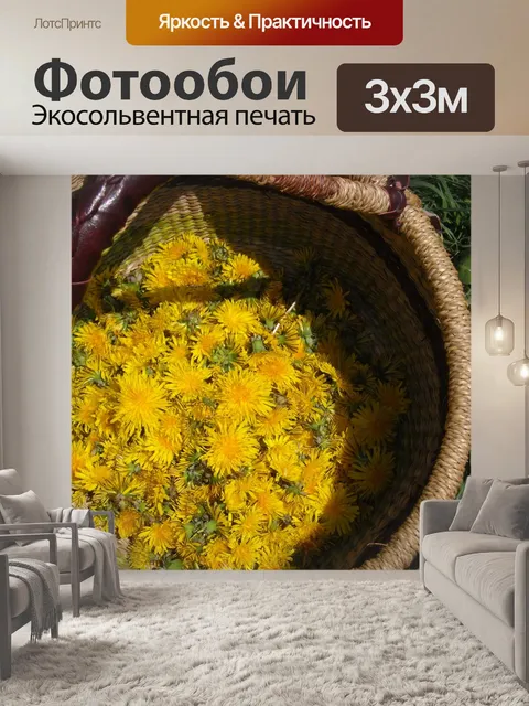 Фотообои Подсолнечник