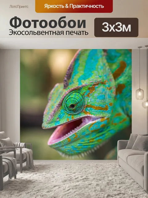 Фотообои Хамелеон