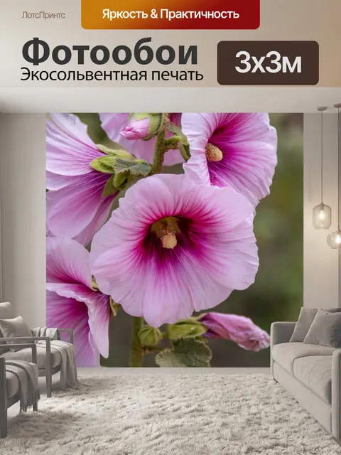 Фотообои Розовый Холлихок