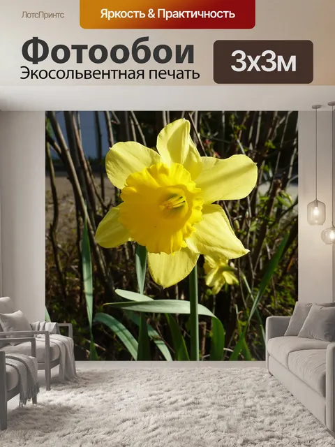 Фотообои Цветок