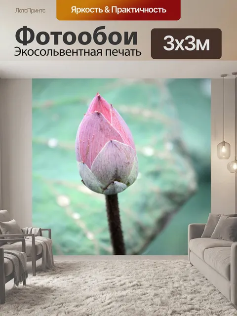 Фотообои Розовый бутон лотоса и листьев крупным п