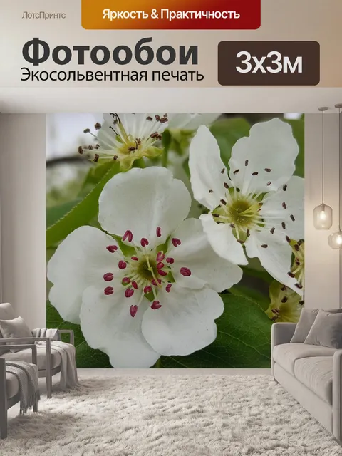 Фотообои Весенняя прогулка