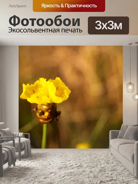 Фотообои Цветки одичалые Стоковая Фотография
