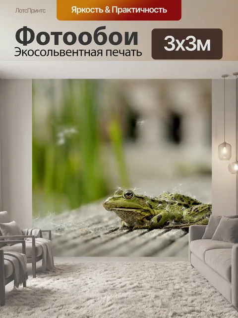 Фотообои Лягушка