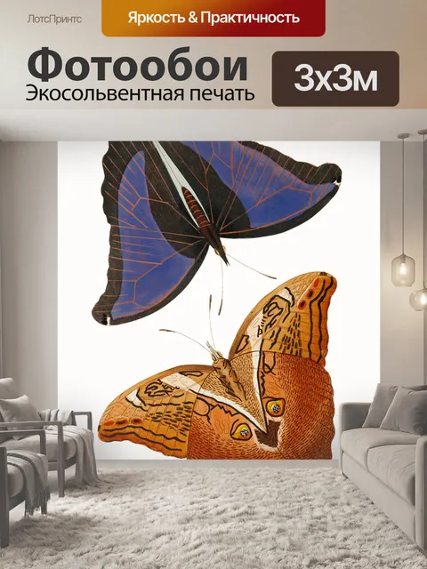 Фотообои Бабочки винтаж искусство старый