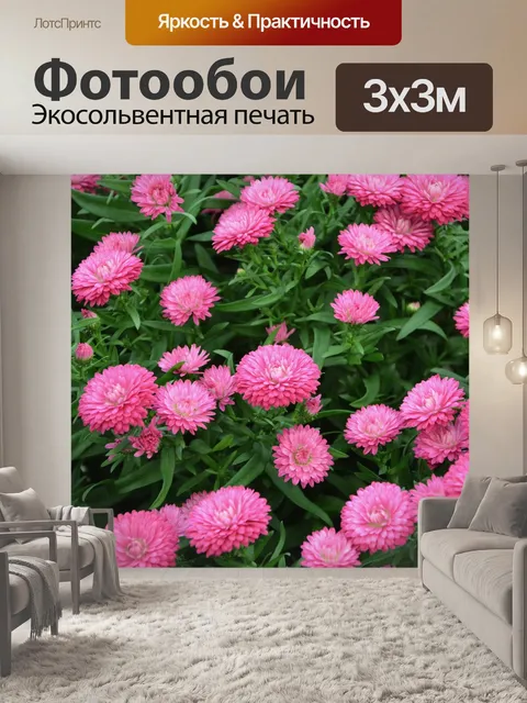 Фотообои Цветы