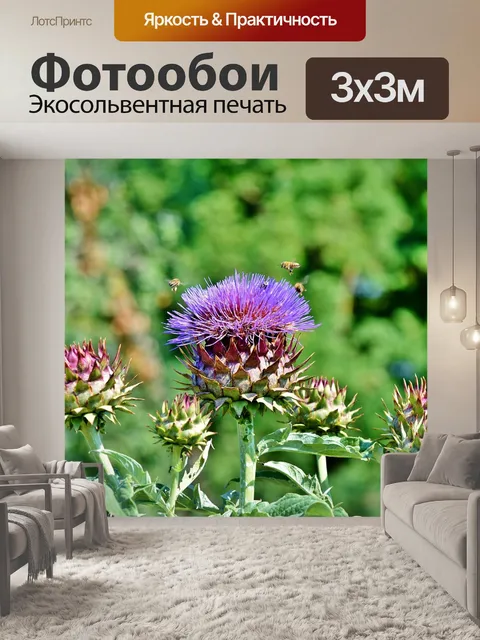 Фотообои Артишок
