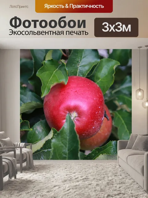 Фотообои Красное яблоко