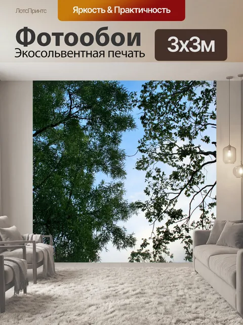 Фотообои Karee дерево и белый Stinkwood дерево