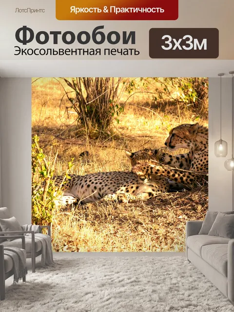 Фотообои Леопарды