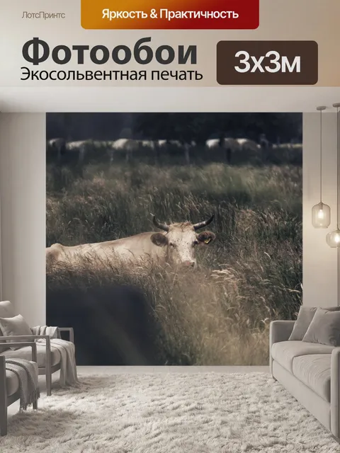 Фотообои Корова