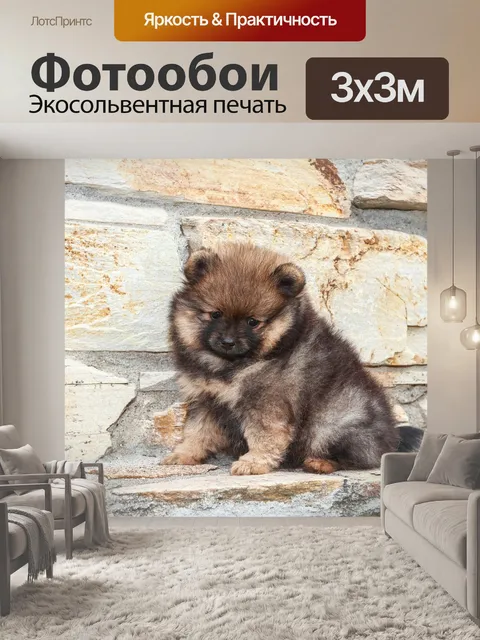 Фотообои Щенок