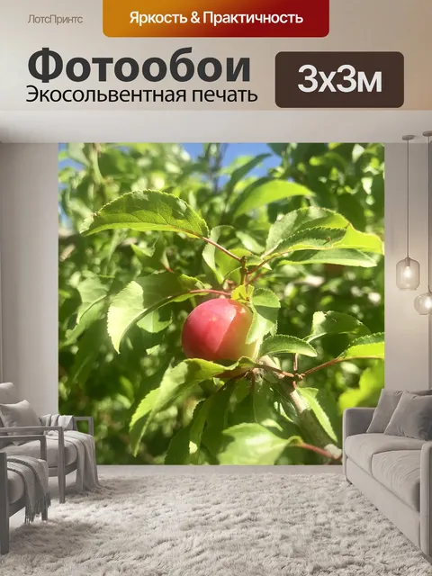 Фотообои Фрукты