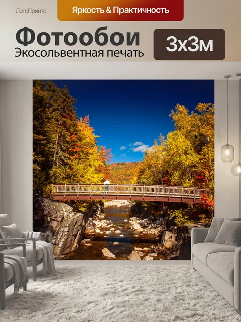 Фотообои Мост в лесу осенью