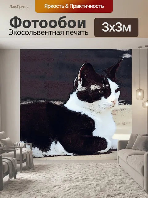 Фотообои черно-белая кошка