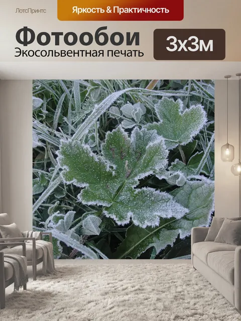 Фотообои Фрост