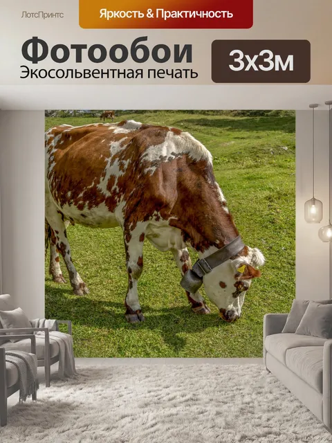 Фотообои Альпийская дойная корова