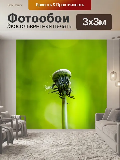 Фотообои Одуванчик