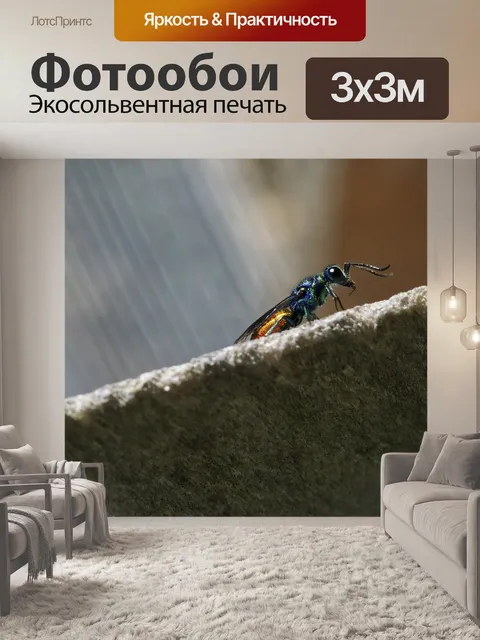 Фотообои Оса