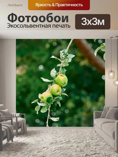 Фотообои Яблоки на ветке