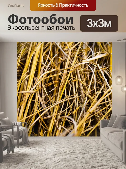 Фотообои Дикий цветок травы