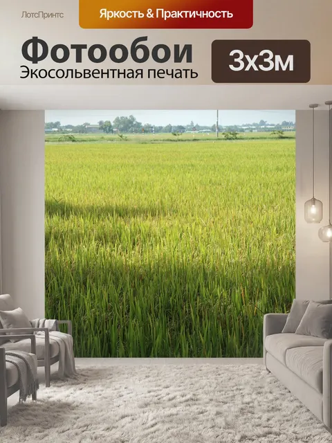 Фотообои Рис
