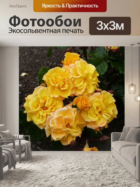 Фотообои Роза