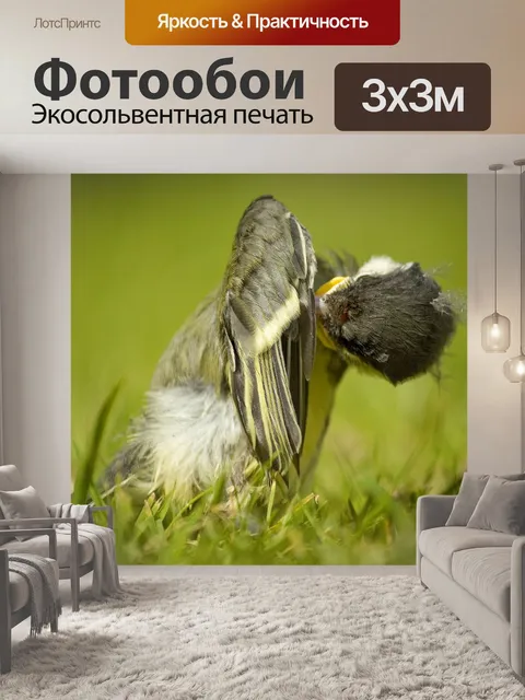 Фотообои Цыпочка с отличными сиськами