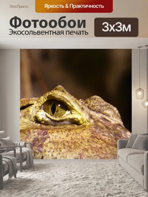 Фотообои Глаз Кайман