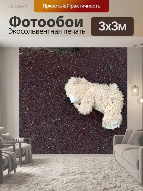 Фотообои Брошенная игрушка