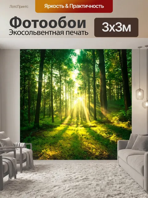Фотообои утренний свет, мягкие лучи солнца пробиваются сквозь деревья, сказочные тени на земле, муаровые оттенки…