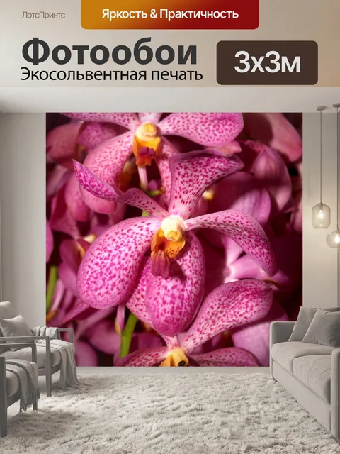 Фотообои Фото цветка орхидеи