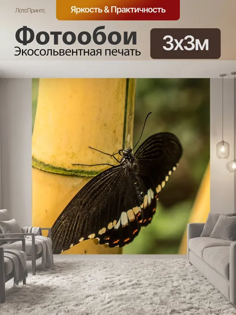 Фотообои Сад бабочек бенальмадена