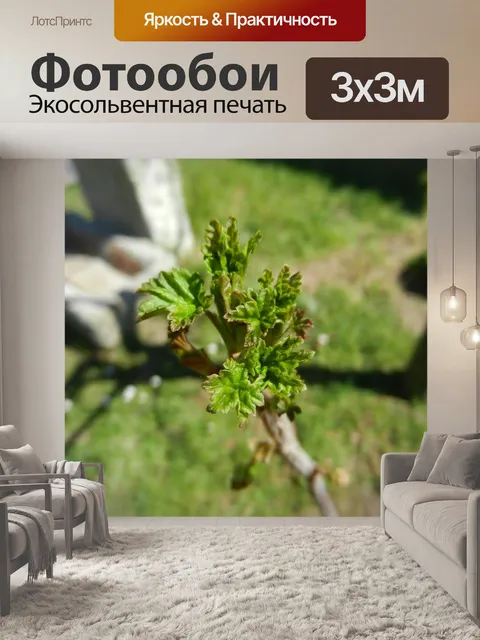 Фотообои Кустовые почки