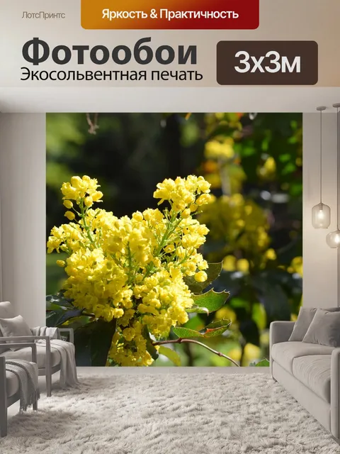 Фотообои Жёлтый