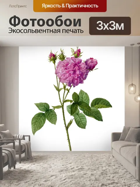 Фотообои Старинные цветы искусство старый