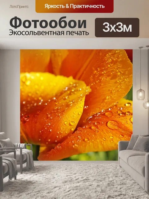 Фотообои Желтый тюльпан