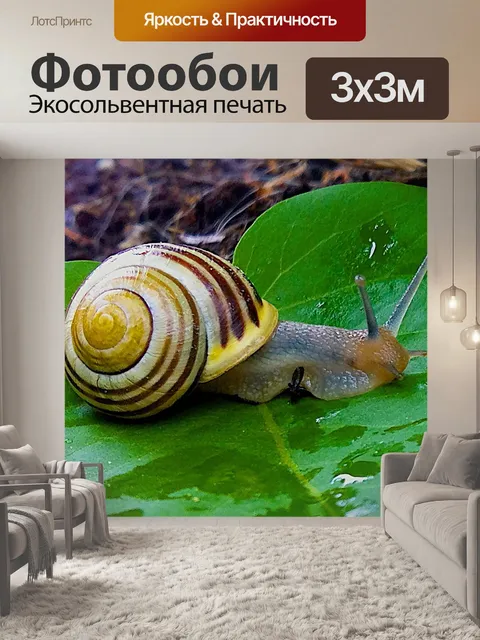 Фотообои Садовая улитка