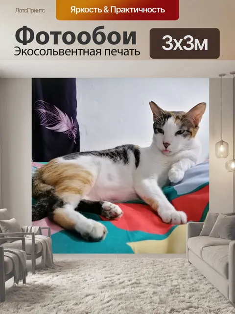 Фотообои Ситцевый кот