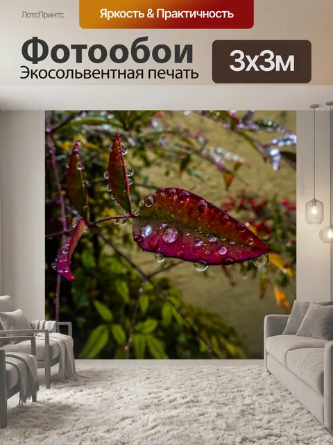 Фотообои Покрытый дождь красный лист